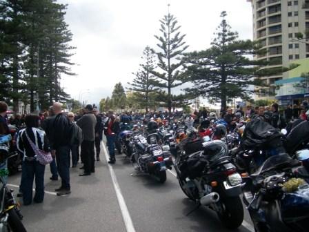 Photo courtesy of Steve