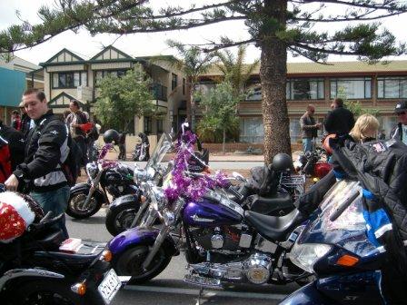 Photo courtesy of Steve