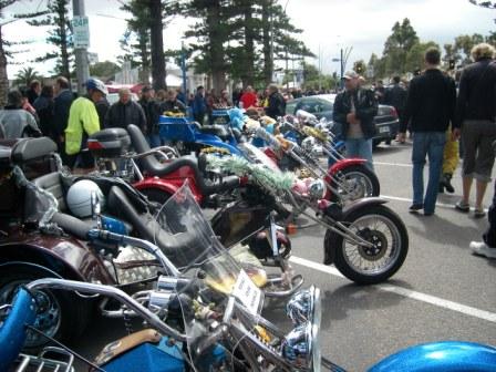 Photo courtesy of Steve