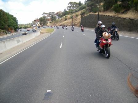 Photo courtesy of Steve