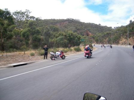 Photo courtesy of Steve