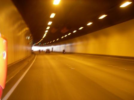 Photo courtesy of Steve