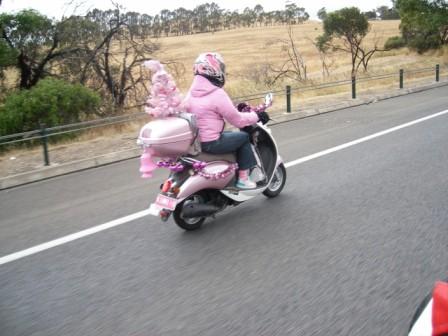 Photo courtesy of Steve