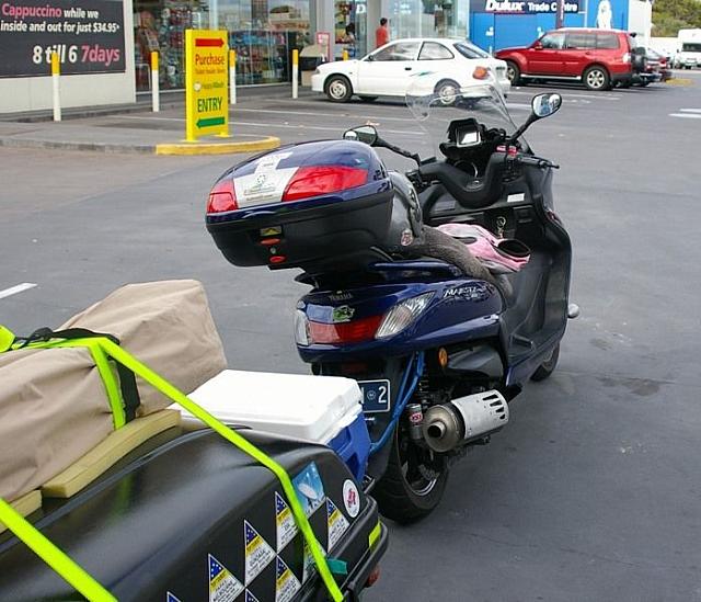 Photo courtesy of Rene