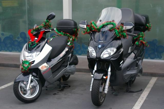 Photo courtesy of Rene