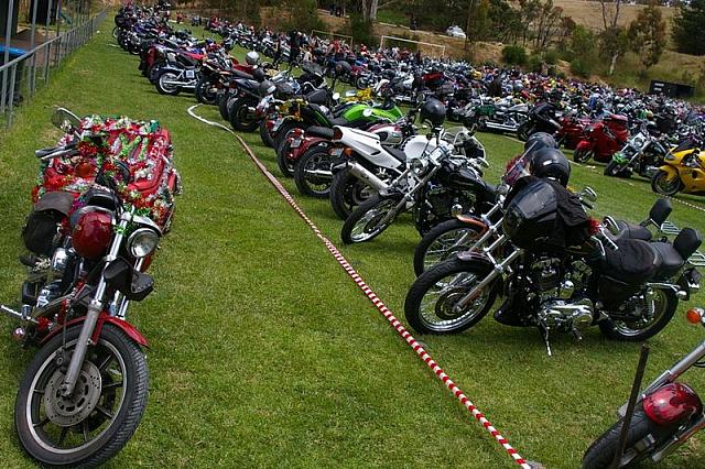 Photo courtesy of Rene