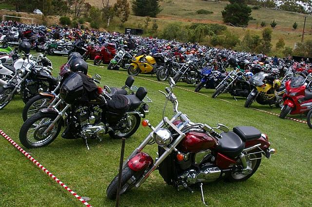 Photo courtesy of Rene