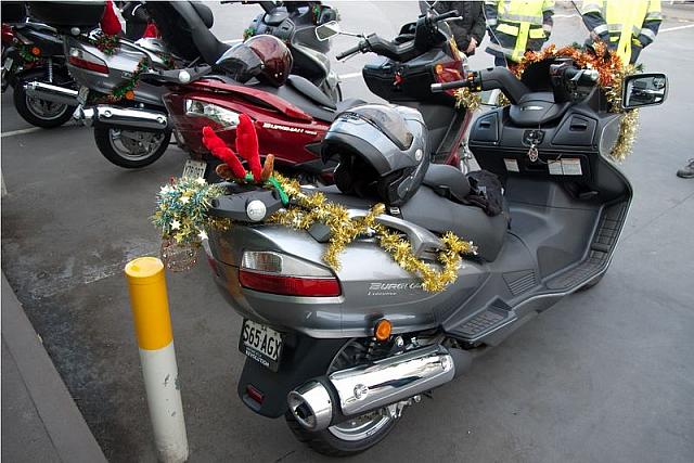 Photo courtesy of Rene