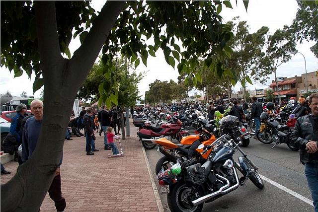 Photo courtesy of Rene