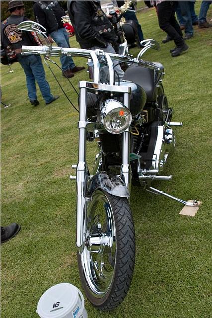 Photo courtesy of Rene