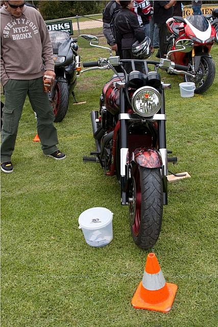 Photo courtesy of Rene