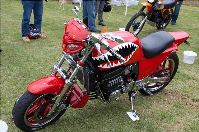 Photo courtesy of Rene