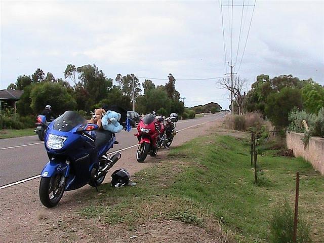 Photo courtesy of Dave