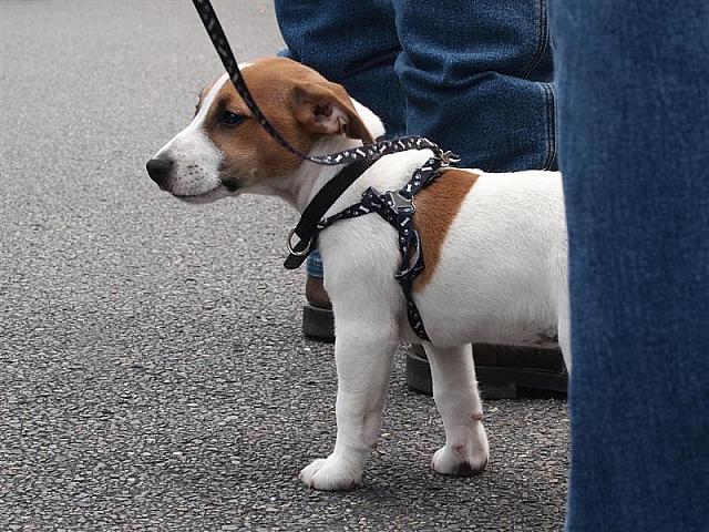 Photo courtesy of Paula McManus
Full Resolution image 0426 924 751