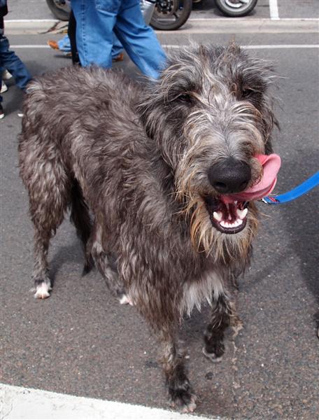 Photo courtesy of Paula McManus
Full Resolution image 0426 924 751