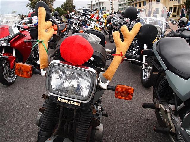 Photo courtesy of Paula McManus
Full Resolution image 0426 924 751