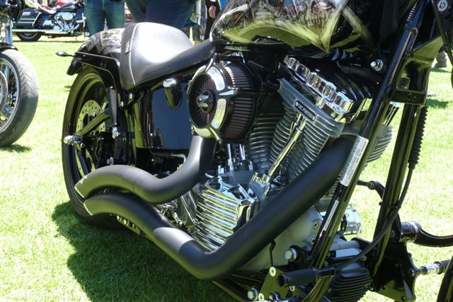 P1020554 S&S winner TR 2012.JPG