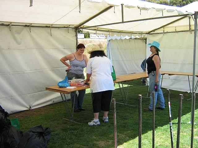 Photo courtest of Toni