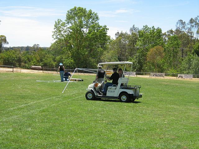 Photo courtest of Toni