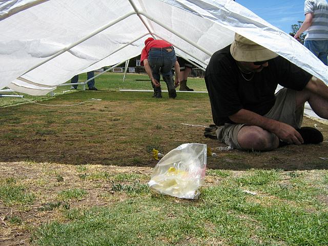 Photo courtest of Toni