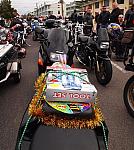 Photo courtesy of Paula McManus
Full Resolution image 0426 924 751