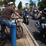 Photo courtesy of Paula McManus
Full Resolution image 0426 924 751