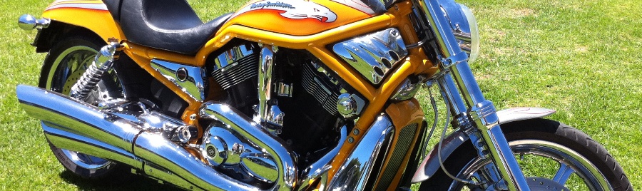 Harley at Toy Run 2016